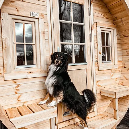 Апартаменты Wiesenhaus Кёльн
