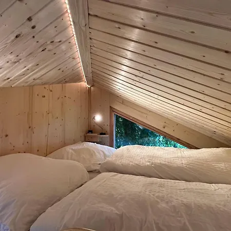 Wiesenhaus Apartmán *